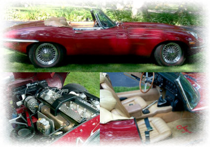 000112102_8.jpg (52678 bytes)