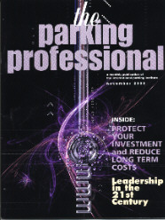 the parking porfessional