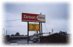 newpicz44.jpg (11887 bytes)